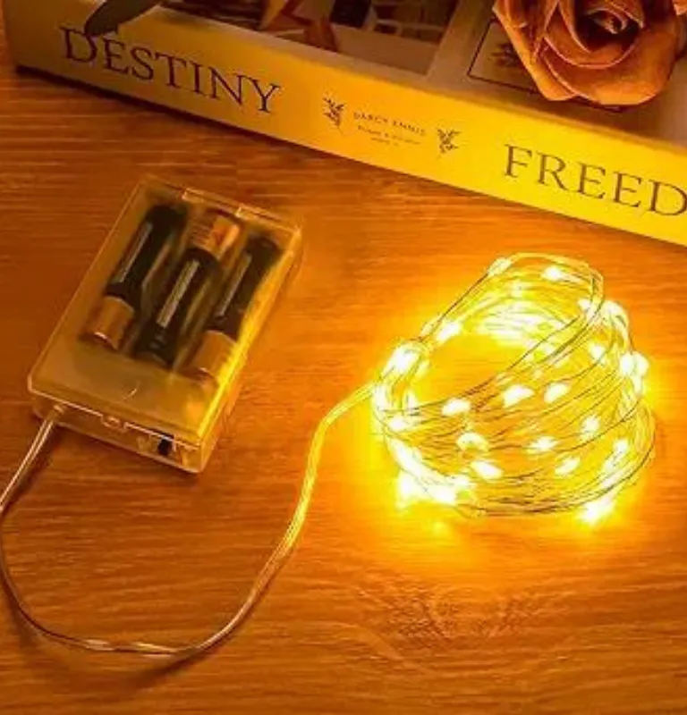 LED String Lights Amazon product